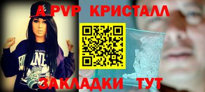 спиды Камышлов