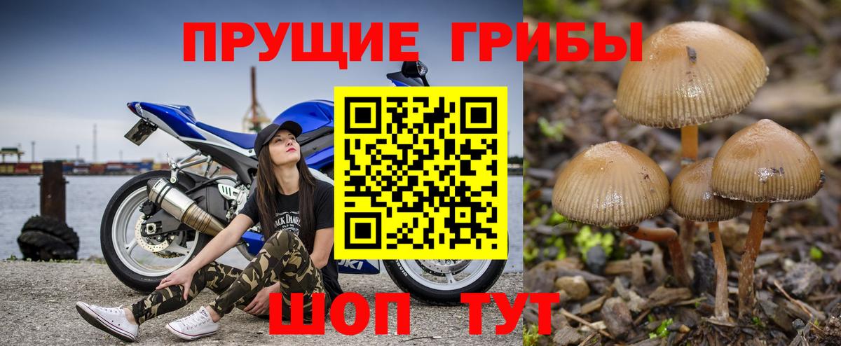 Галлюциногенные грибы Cubensis Лангепас
